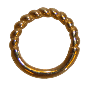 14 Karat Gold Hinged Hoop 1/4 16G