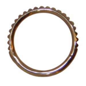 14 Karat Gold Hinged Hoop 16G 3/8th Gear Jewelry